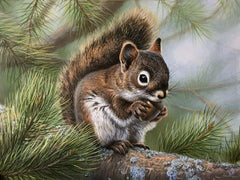 5D Diamond Painting Kit for Kids and Adults - 12x16inch Suitable for Home Leisure and Wall Decoration Gift for Kids and Adults (Squirrel)