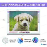 FunBlast 5D Diamond Painting Kit for Kids and Adults - 12x16inch Suitable for Home Leisure and Wall Decoration, Gift for Kids and Adults (Dog)
