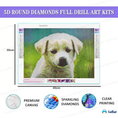 FunBlast 5D Diamond Painting Kit for Kids and Adults - 12x16inch Suitable for Home Leisure and Wall Decoration, Gift for Kids and Adults (Dog)