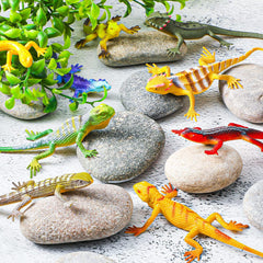 Reptile Animal Toys for Kids, Reptiles Toys for Kids, Lizard Toy for Kids, Artificial Reptile Lizard Animal Figures for Kids Education Toy, Rubber Reptile Toys Set for Children, Chipkali Toy