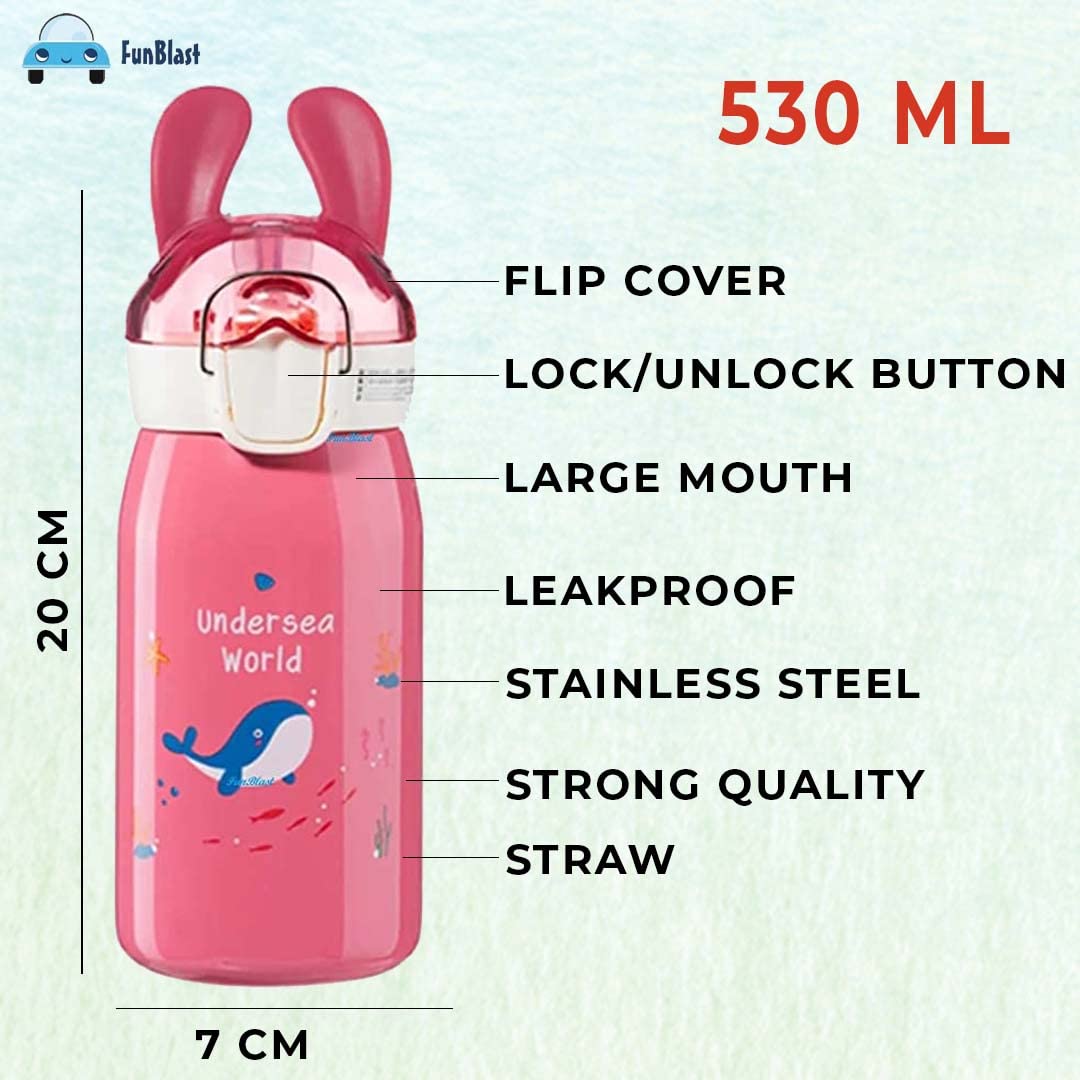 Insulated Stainless Steel Water Bottle for Kids – 530 ML