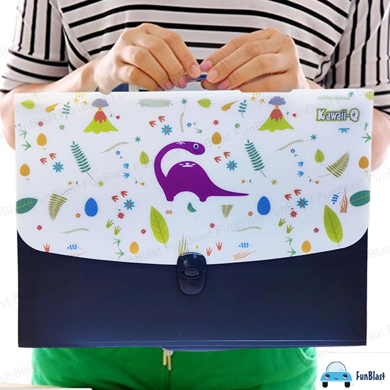 File Folder with Handle and Push Lock – FunBlast